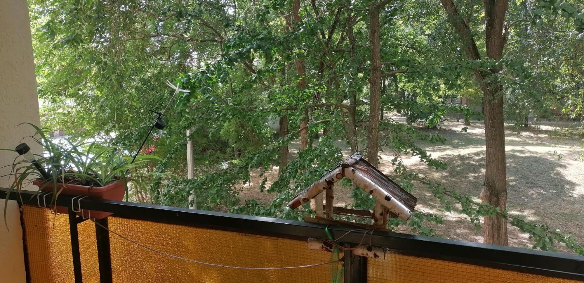 Erzsebet Vendeghaz Apartament *